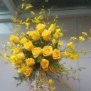 TUYỂN SINH 2019 ĐH SÂN KHẤU ĐIỆN ẢNH TPHCM